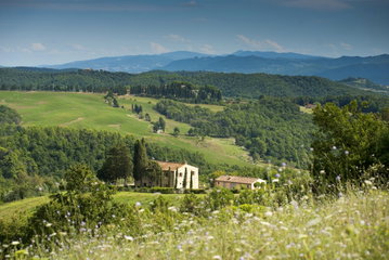 La Sassicaia