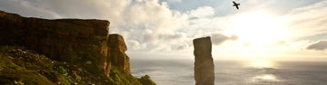 Scotland's Shetland and Orkney Islands