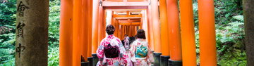 Premium Highlights of Japan