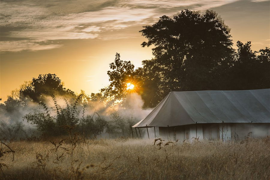 Dawn at a tiger lodge in India