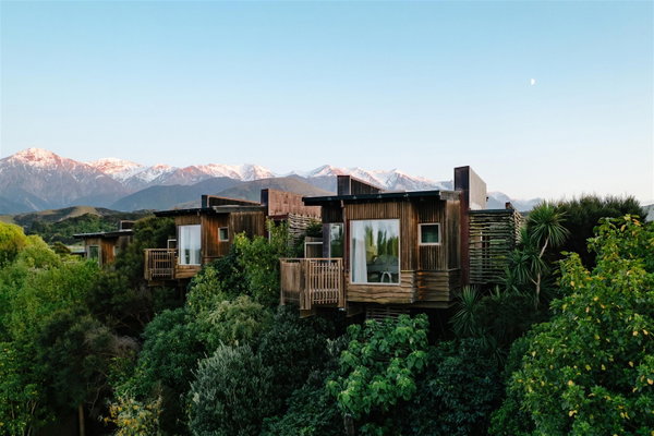 Hapuku Lodge + Tree Houses