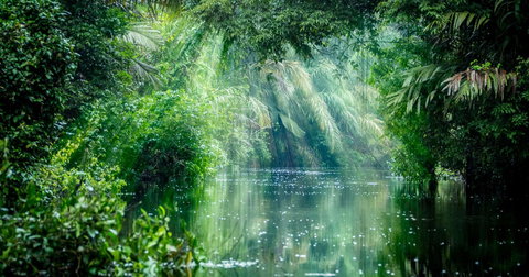Costa Rica Wildlife Tour