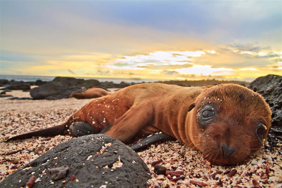 2. Galápagos Islands, Ecuador