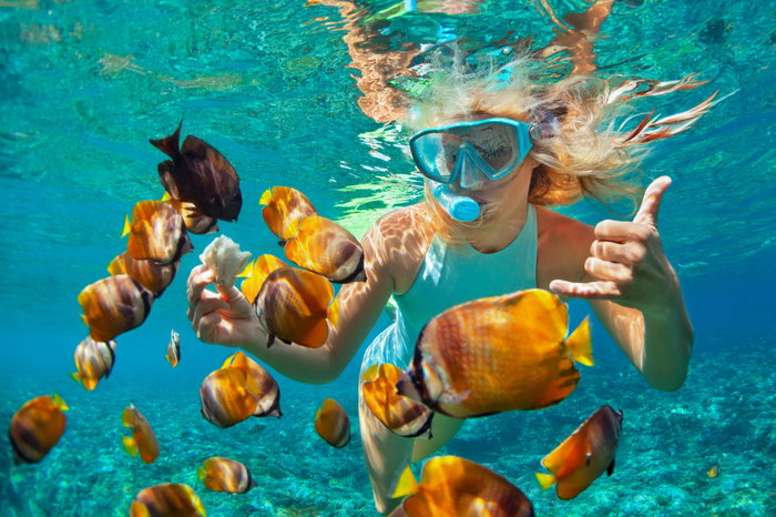 Woman in snorkeling mask dive underwater with tropical fishes in coral reef 