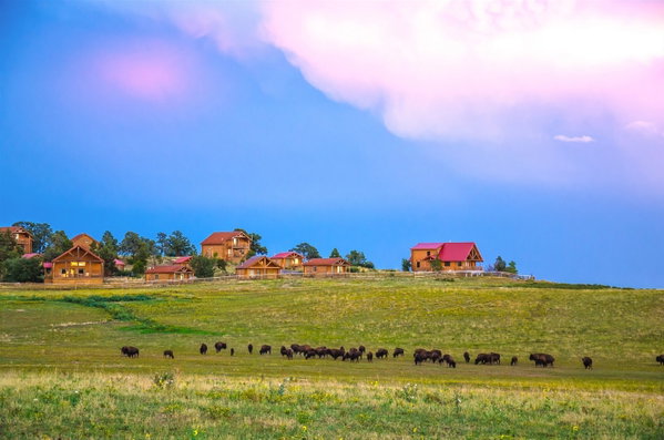 Zion Mountain Ranch