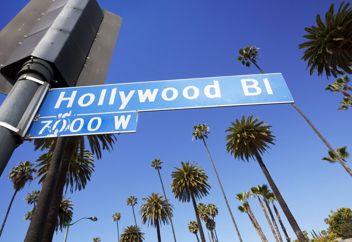 Hollywood Sign Beverly Hills - California Palm Tree California City Of Los Angeles Fame Hollywood - California Horizontal International Landmark Los Angeles County Photography Road Sign Southern California Symbol Travel Travel Destinations USA