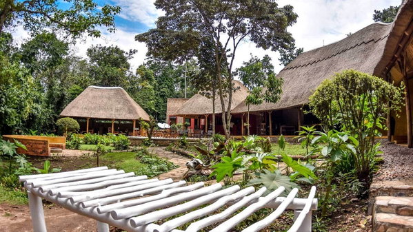 Primate Lodge