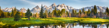 Yellowstone and Grand Tetons Adventure