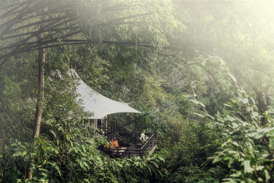 Four Seasons Tented Camp - Chiang Rai, Thailand