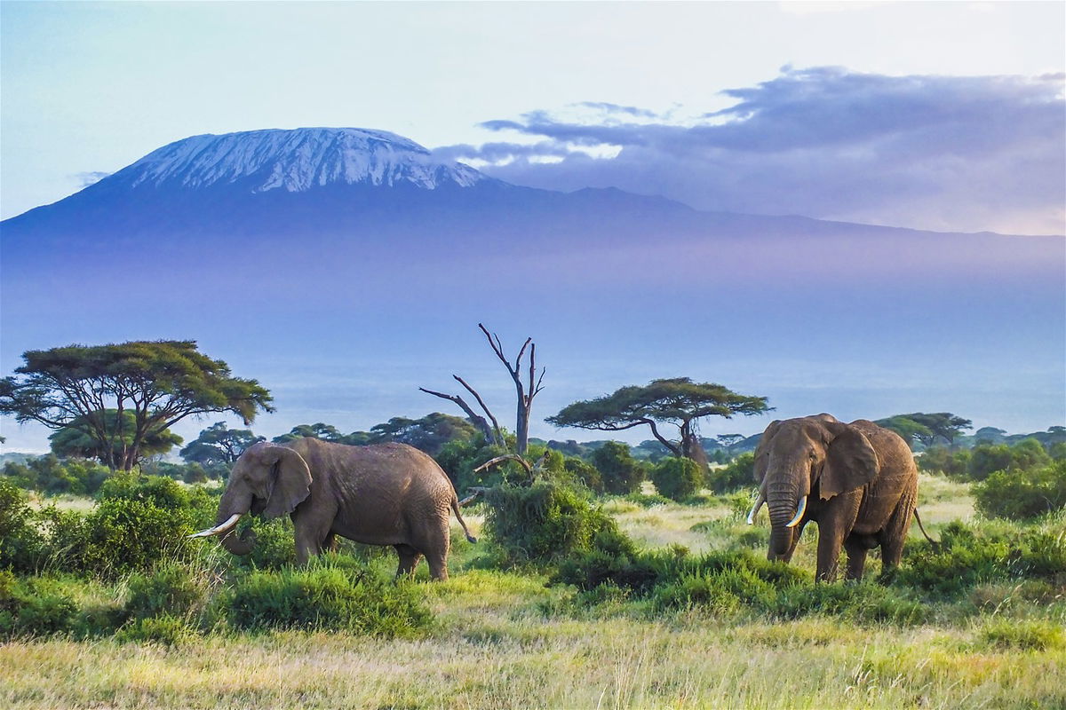 Kenya Holidays 2024/2025 Trailfinders