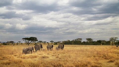 Tanzania Camping Adventure