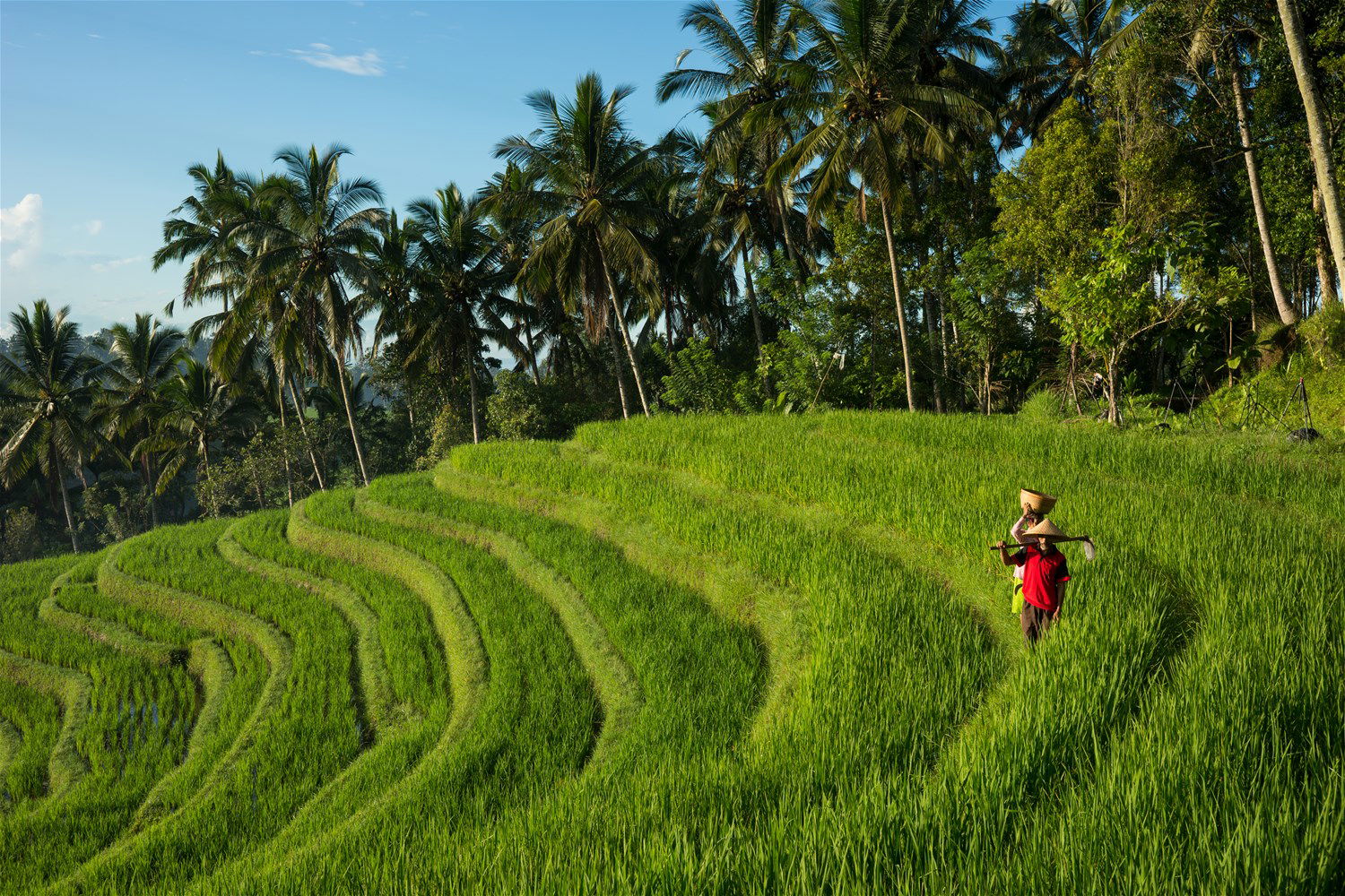 Beautiful Bali - Intrepid | Trailfinders