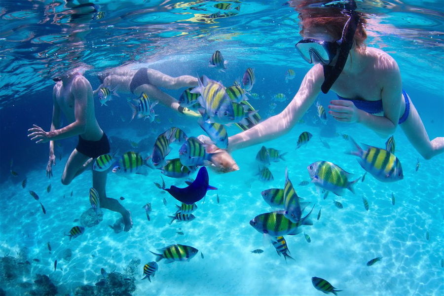 Snorkelling amongst colourful fish in the Philippines