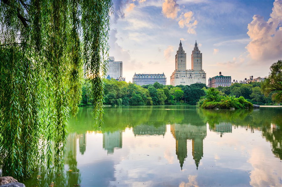 The lake in Central Park New York with skyscrapers in the background