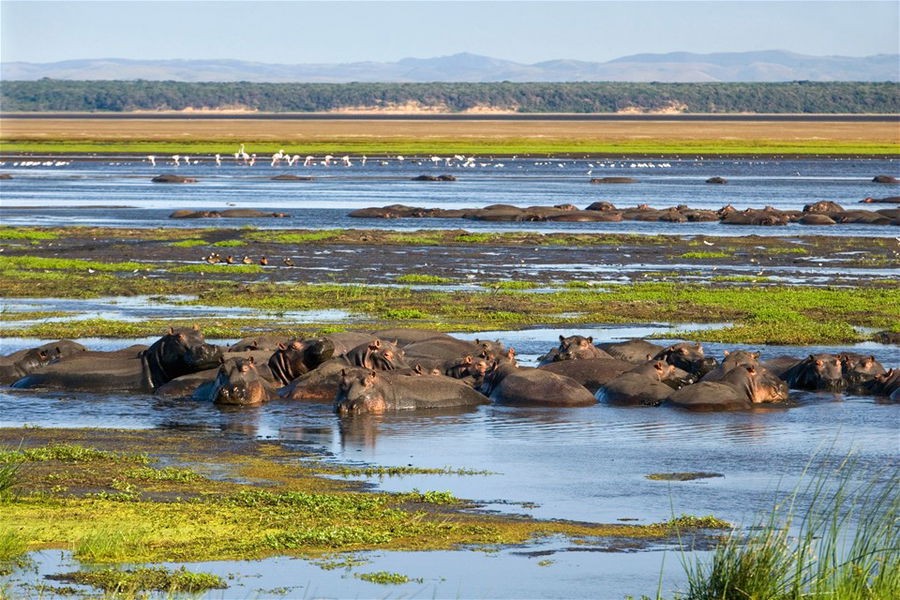 ISIMANGALISO WETLAND PARK