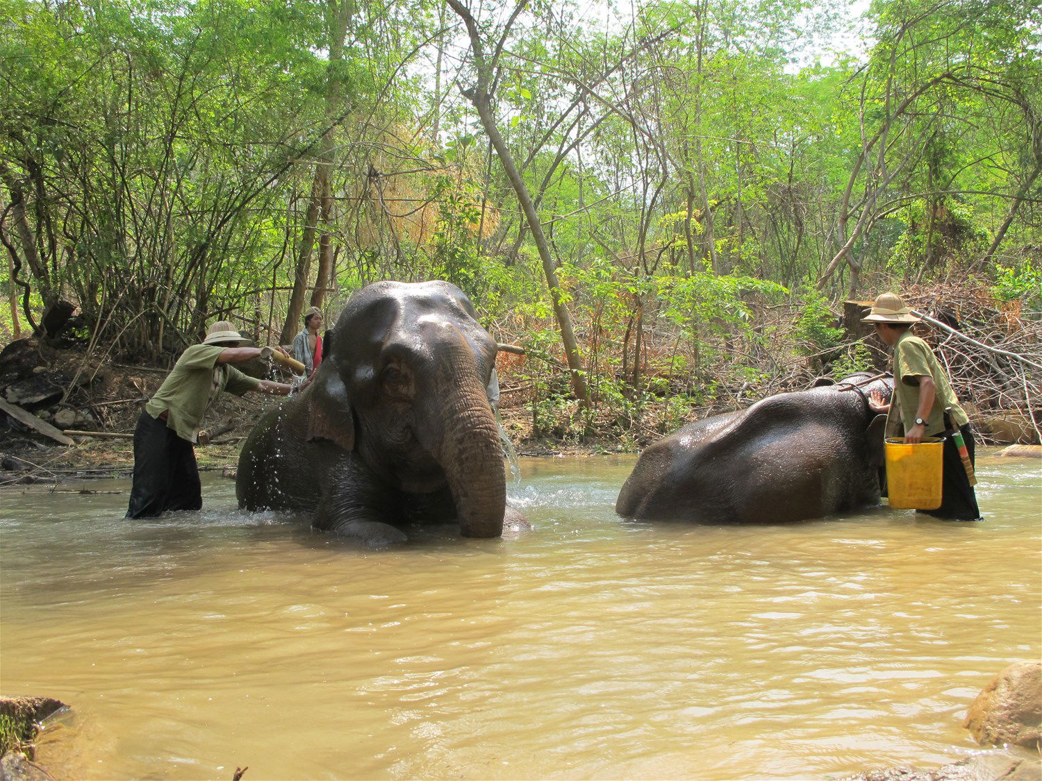Green Hill Valley Elephant Camp Trailfinders