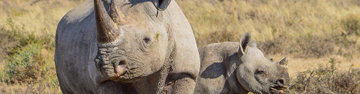 Botswana Family Safari with Teenagers
