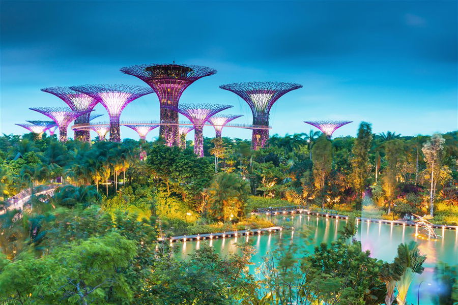 Evening view of The Supertree Grove at Gardens by the Bay, Singapore