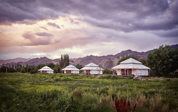Chamba Camp Thiksey, Ladakh
