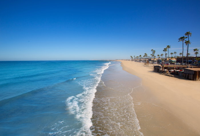 Newport Beach in California with palm trees along the shore, USA; Palm, Trees, Beach, California, Newport, Sport, Blue, Background, High, Beautiful, Day, Travel, Sun, Nature, Outdoor, Water, Sunny, Wooden, Sea, Landscape, Wavy, Architecture, Foam, Clouds, American, Us, Usa, Bay, Coast, Coastline, Ocean, Scenic, Seascape, Shore, Landmark, Sand, Vacation, Pacific, Surf, Waves, America, Touristic, United, States, De, Typical, Shallow, Playa, Foreshore, Palmeras, Playas