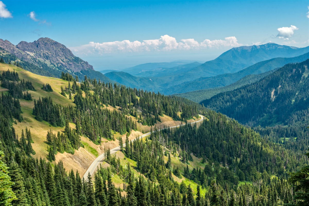 Olympic National Park Trailfinders