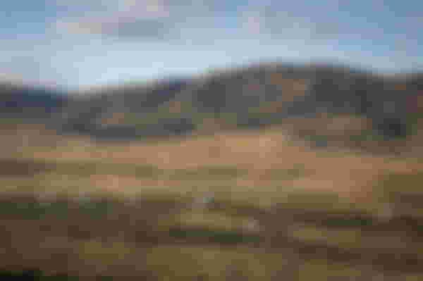 Rawnsley Park Station, Flinders Ranges