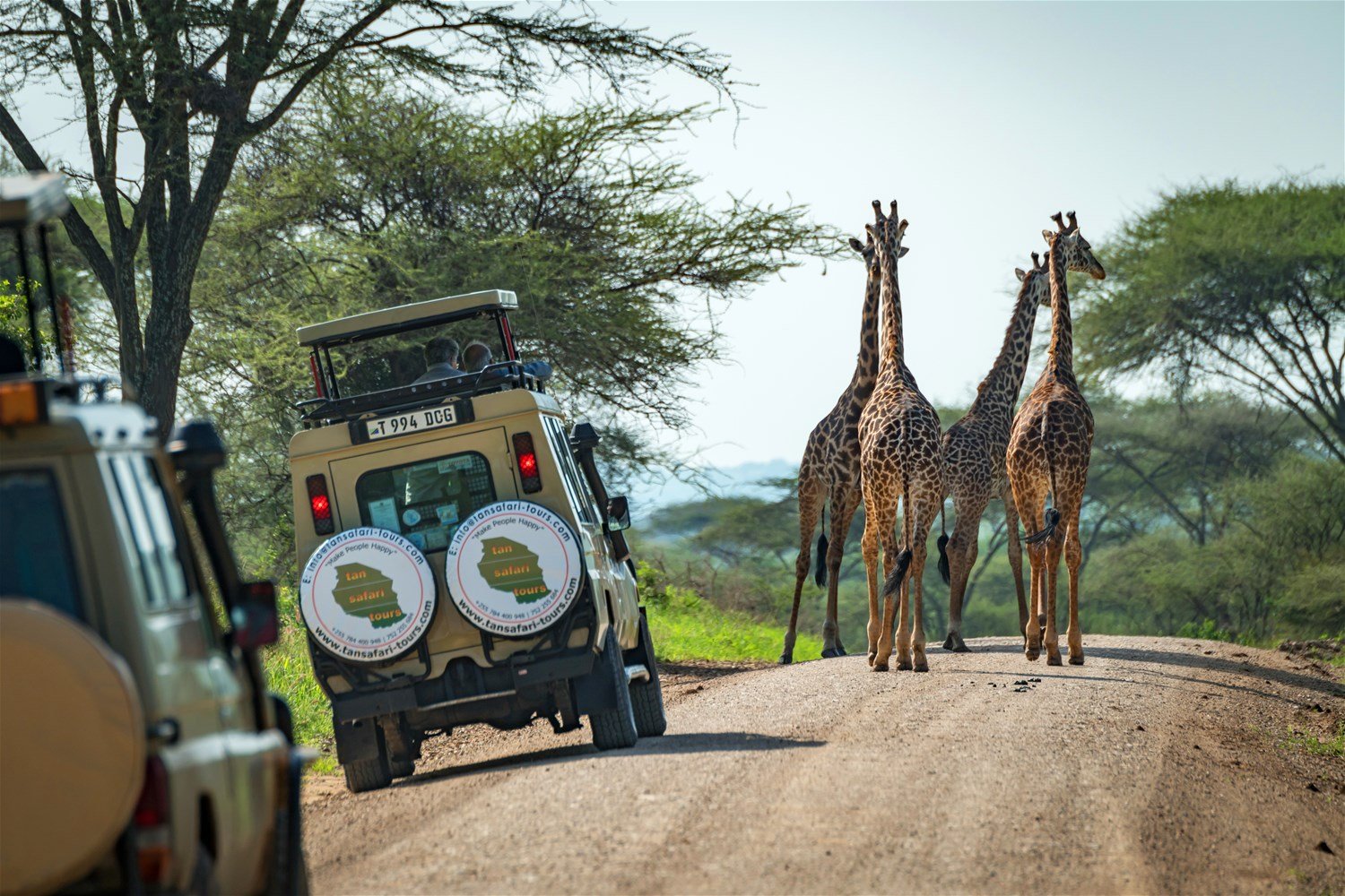 trailfinders africa tours