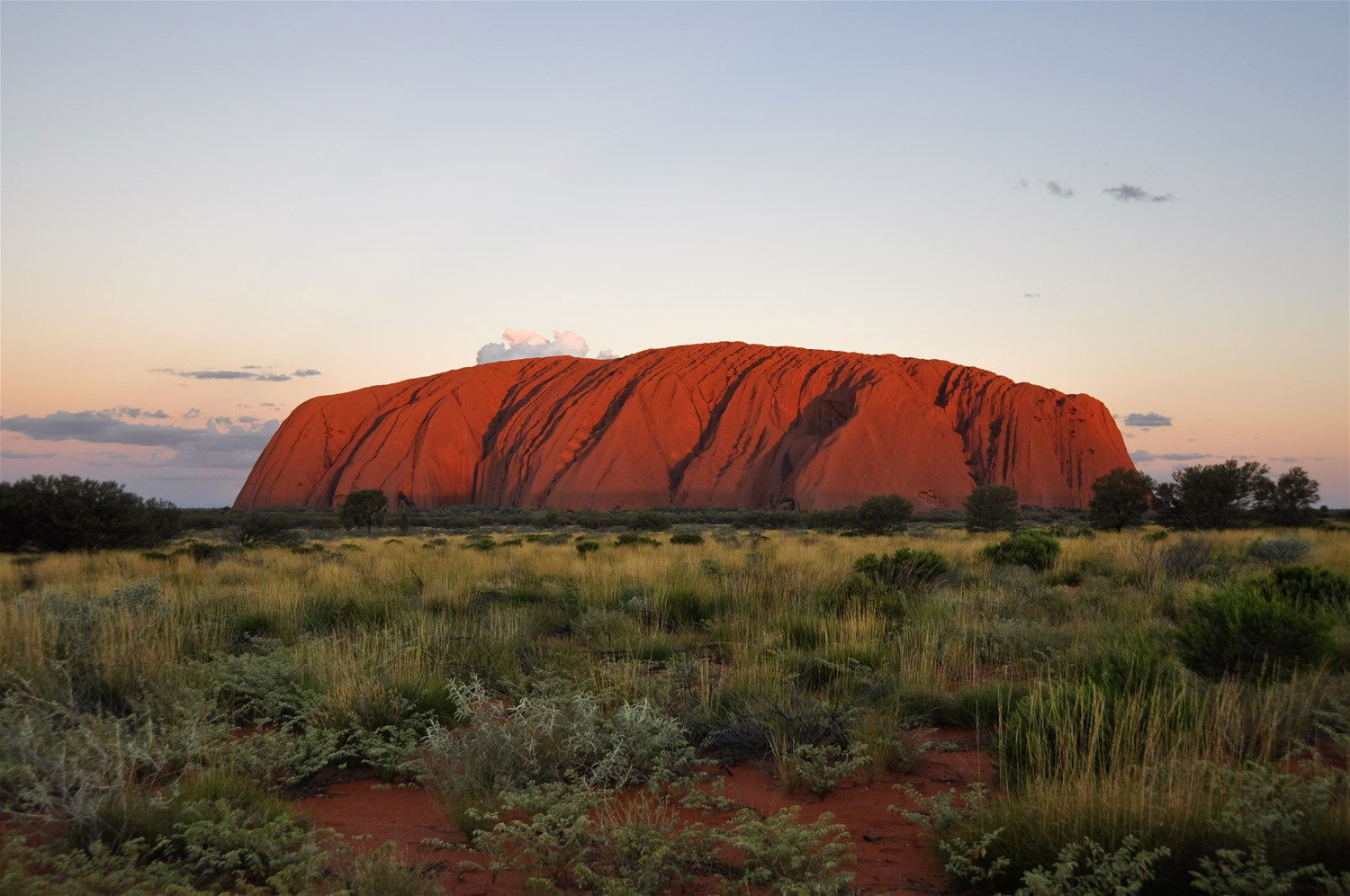 guided tours uluru