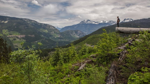 Canadian Rockies Express