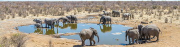 South Africa Family Safari with Teenagers