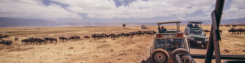 Road to Zanzibar