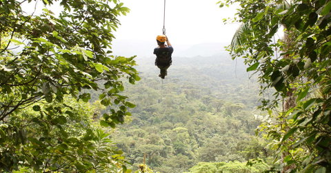 Family Costa Rica Rainforest and Wildlife Adventure