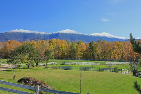 Colours of New England