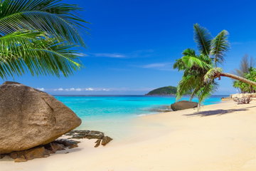 Idyllic beach at Khao Lak Thailand, with palm trees and intense blue sky with wispy clouds.