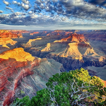 Splendors of the West