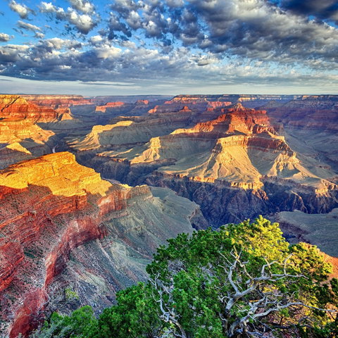 Splendors of the West