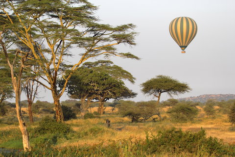 Serengeti Hot Air Balloon Safari