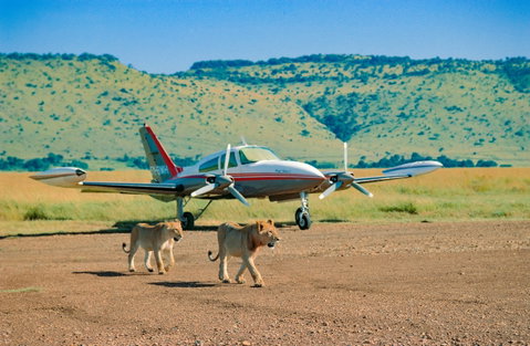 Fly In Safari holidays
