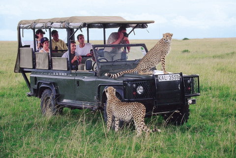 Guided Small Group Adventure Touring holidays