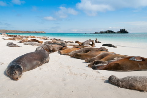 Guided Small Group Adventure Touring holidays