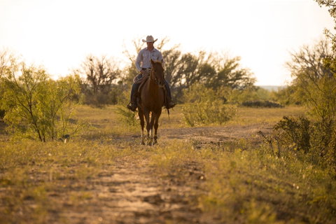 Texan Trails