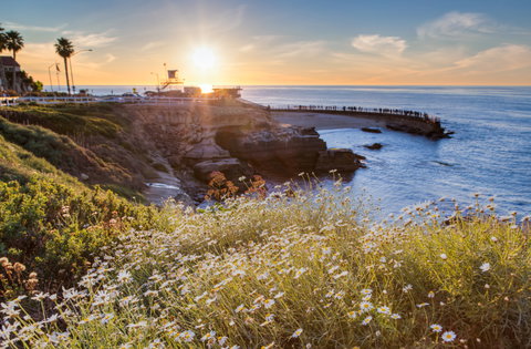 La Jolla