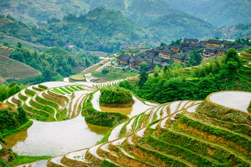 Private Dragon's Backbone Rice Terraces