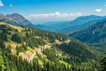 Olympic National Park Tour