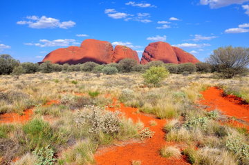 Kata Tjuta Valley Of The Winds