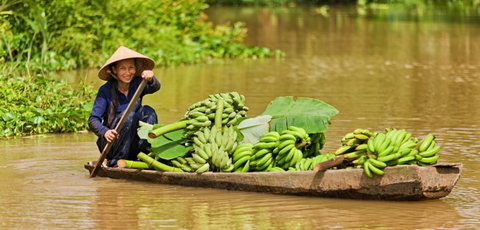 Mekong Delta