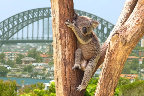Guided Group Journeys holidays