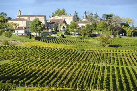 A Taste of Bordeaux, Biarritz and the French Basque