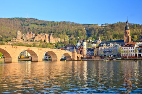 The Rhine River