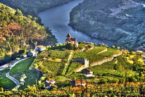 The Douro Valley